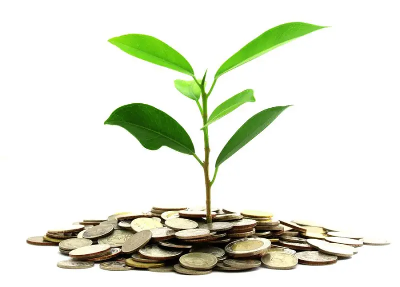 Инвестиции SKF в сохранение экологии | Свежие новости в Краснодаре