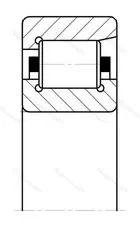 Подшипник  NF 321 (12321) размер 105x225x49 от производителя  SKF