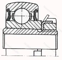 Модификация подшипника 1680205К2Т2С17 размер 25x62x18/31